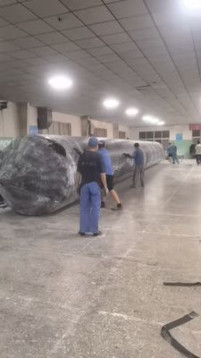 Gemi Fırlatma Hava Yastıkları 1.0m-35m Uzunluk Tek/Çifte Kol 10-1000 Ton Ağırlık Kapasitesi Gemicilik Endüstrisi için